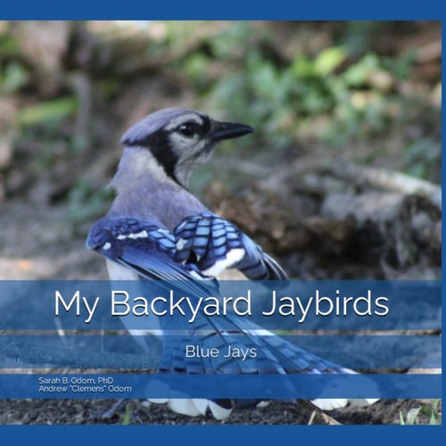 My Backyard Jaybirds: Blue Jays (Backyard Birds)