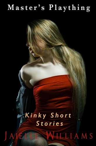 Master's Plaything Master's Playroom Kinky Short Stories
