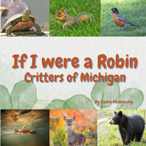 If I Were a Robin Critters of Michigan