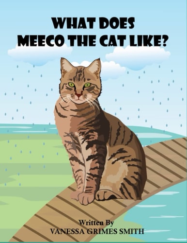What Does Meeco The Cat Like?