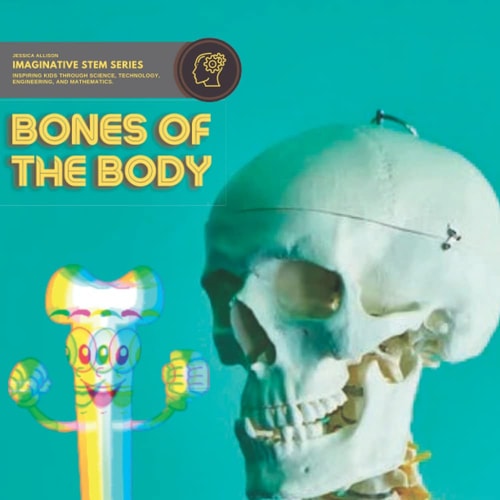 The Bones Of The Body Imaginative Stem Series - Stem Books For Kids