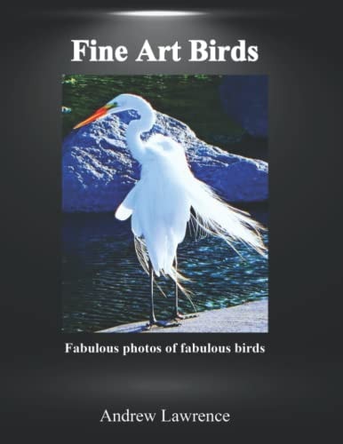 Fine Art Birds Fabulous Photos of Fabulous Birds