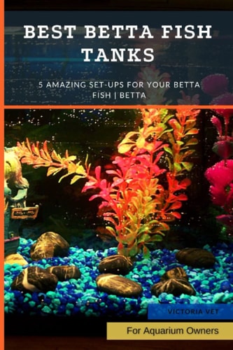 Best Betta Fish Tanks 5 Amazing Set-Ups for Your Betta Fish Betta ...