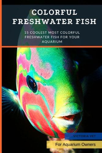 Colorful Freshwater Fish 15 Coolest Most Colorful Freshwater Fish For Your Aquarium