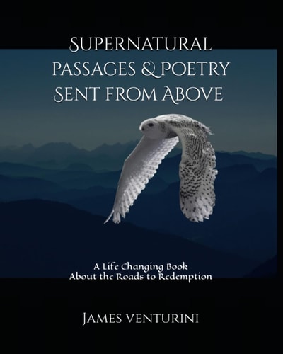 Supernatural Passages & Poetry, Sent from Above A Life Changing Book About the Roads to Redemption