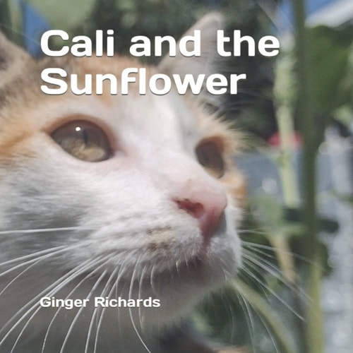 Cali and the Sunflower
