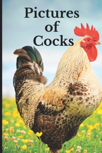 Pictures of Cocks Funny White Elephant, Yankee Swap, Secret Santa Gift, (Stupid Gifts Ideas)