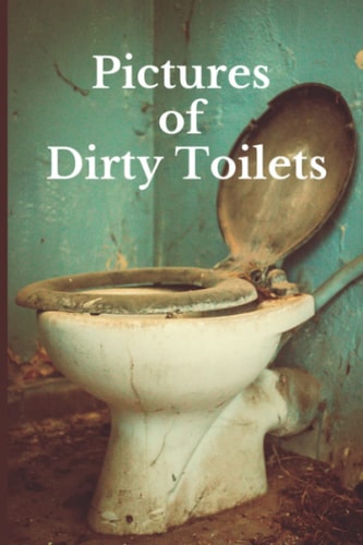 Pictures of Dirty Toilets Funny White Elephant, Secret Dirty Santa Gift, (Stupid Gifts Ideas)