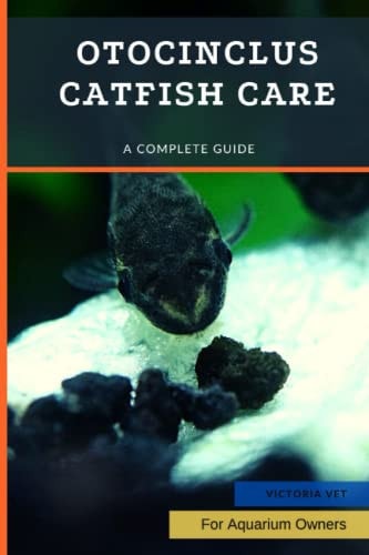 Otocinclus Catfish Care A Complete Guide