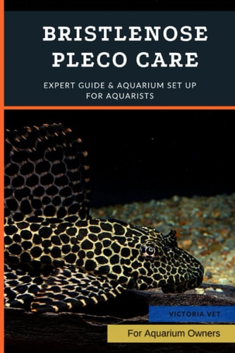 Bristlenose Pleco Care Expert Guide & Aquarium Set Up For Aquarists