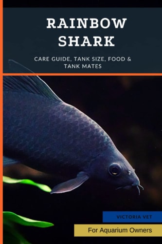 Rainbow Shark Care Guide, Tank Size, Food & Tank Mates