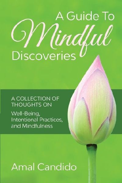 A Guide To  Mindful  Discoveries: A Collection of Thoughts on Well-being, Intentional practices,  and Mindfulness