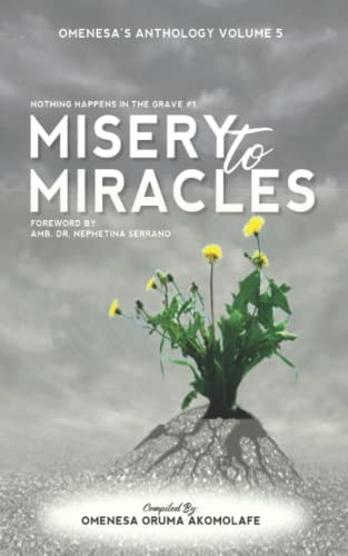 Misery To Miracles Nothing Happens in the Grave