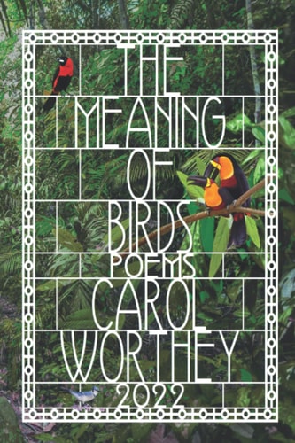 The Meaning of Birds Poetry