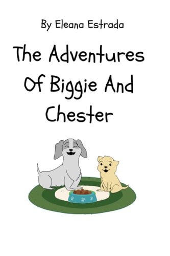 ADVENTURES OF BIGGIE AND CHESTER Chester and the Monster in the Sky