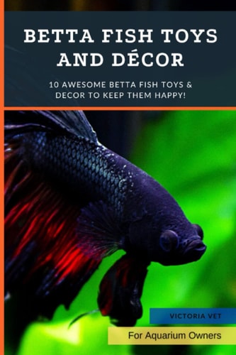 Betta Fish Toys and Décor 10 Awesome Betta Fish Toys & Decor to Keep Them HAPPY!