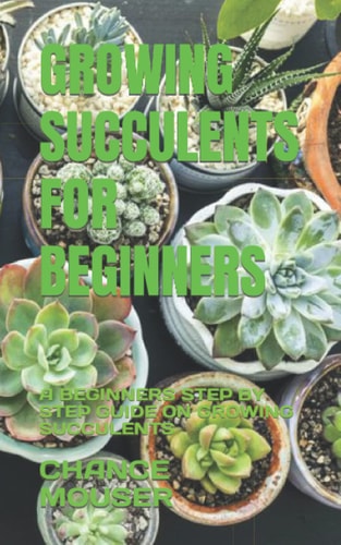 Growing Succulents for Beginners A Beginners Step by Step Guide on Growing Succulents