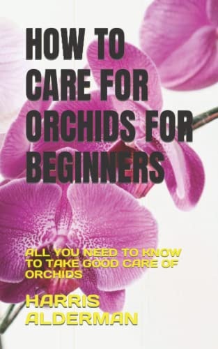 How to Care for Orchids for Beginners All You Need to Know to Take Good Care of Orchids