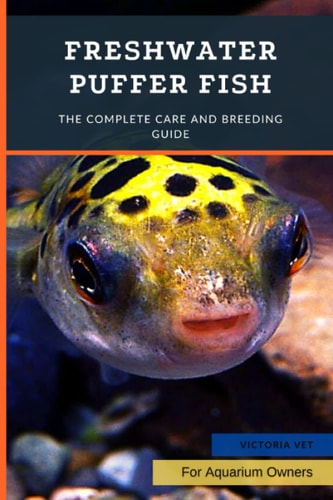 Freshwater Puffer Fish The Complete Care And Breeding Guide