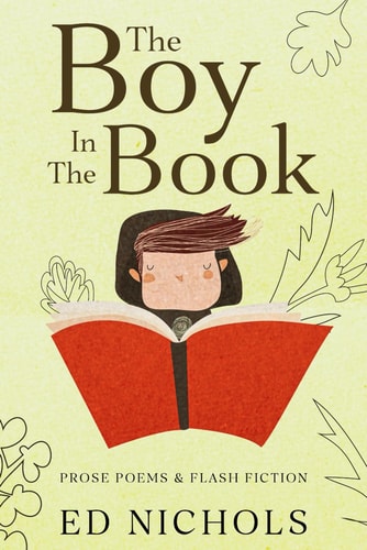 The Boy In The Book A Collection of New Prose Poems and Flash Fiction