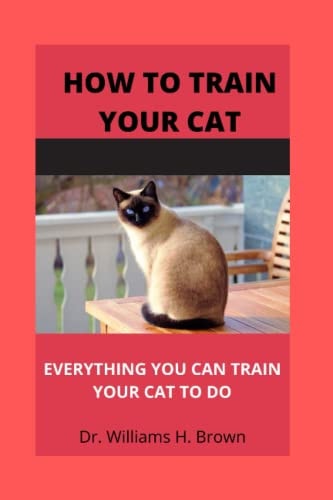 How to Train Your Cat Everything You Can Train Your Cat to Do
