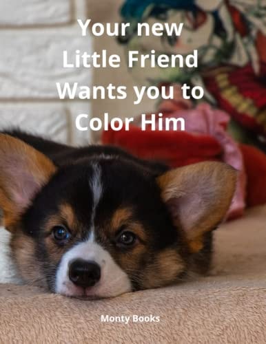 Your New Little Friend Wants You to Color Him A Puppy to Play with Color from 4 Years Old