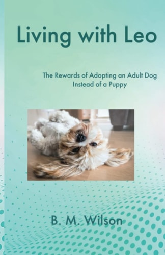 Living with Leo The Rewards of Adopting an Adult Dog Instead of a Puppy