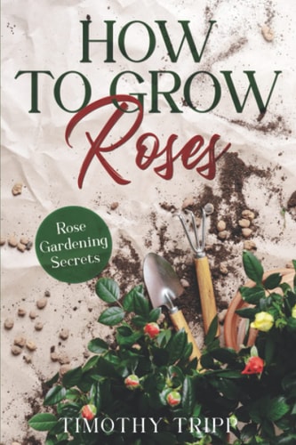 How to Grow Roses Rose Gardening Secrets