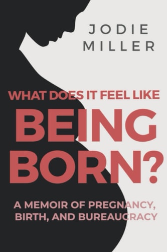 What Does It Feel Like Being Born? A Memoir of Pregnancy, Birth and Bureaucracy