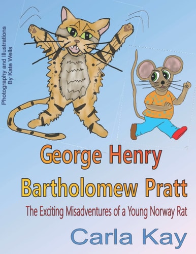 George Henry Bartholomew Pratt The Exciting Misadventures of a Young Norway Rat