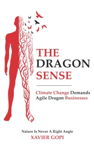 The Dragon Sense Climate Change Demands Agile Dragon Businesses