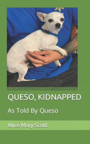 Queso, Kidnapped As Told By Queso