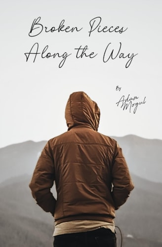 Broken Pieces Along The Way By Adam Mogul