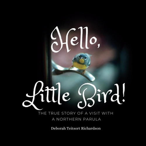 Hello, Little Bird! The True Story of a Visit With a Northern Parula