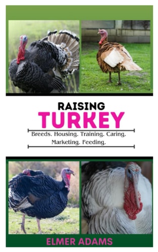 Raising Turkeys Breads, Housing, Training, Caring, Marketing, Feeding
