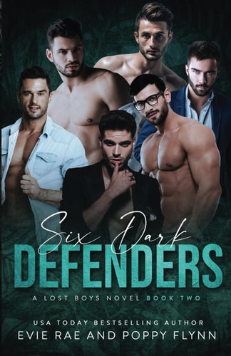 Six Dark Defenders A Dark Romance