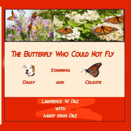 The Butterfly Who Could Not Fly Starring Daisy and Celeste