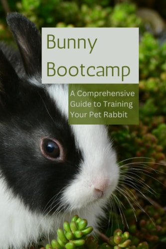 Bunny Bootcamp A Comprehensive Guide to Training Your Pet Rabbit