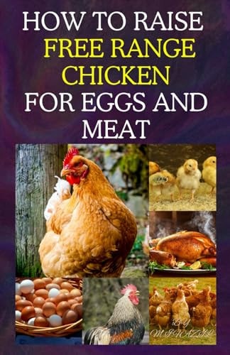 How to Raise Free Range Chicken For Eggs and Meat Free Range Chicken Farmin