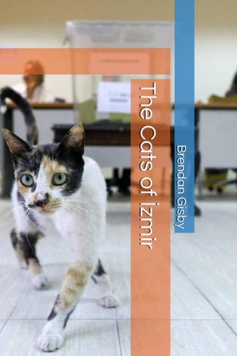 The Cats of İzmir