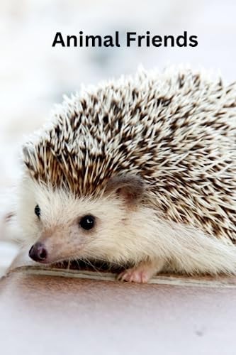 Animal Friends Meet Some Cute Animals