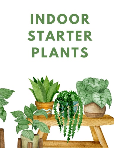 Indoor Starter Plants "Your Guide to Thriving Indoor Plants: Tips and Tricks for Beginners"