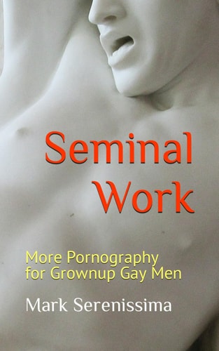 Seminal Work More Pornography for Grownup Gay Men