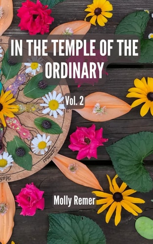 In the Temple of the Ordinary Poems of Presence, Volume 2