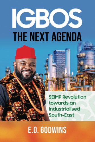 Igbos The Next Agenda: SEIMP Revolution Towards an Industrialised South-East