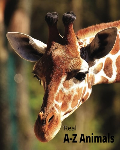 A-Z Animal Book Real Pictures With Facts