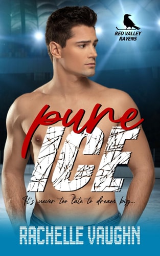Pure Ice A Standalone Blue Collar Hockey Player Romance Book