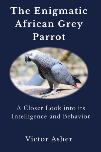 The Enigmatic African Grey Parrot A Closer Look Into Its Intelligence and Behavior