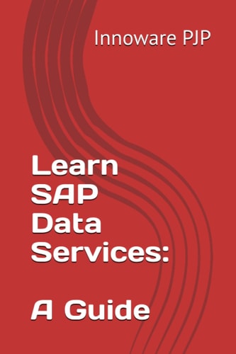 Learn SAP Data Services A Guide