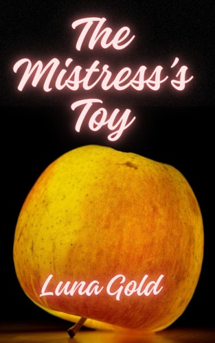 The Mistress's Toy